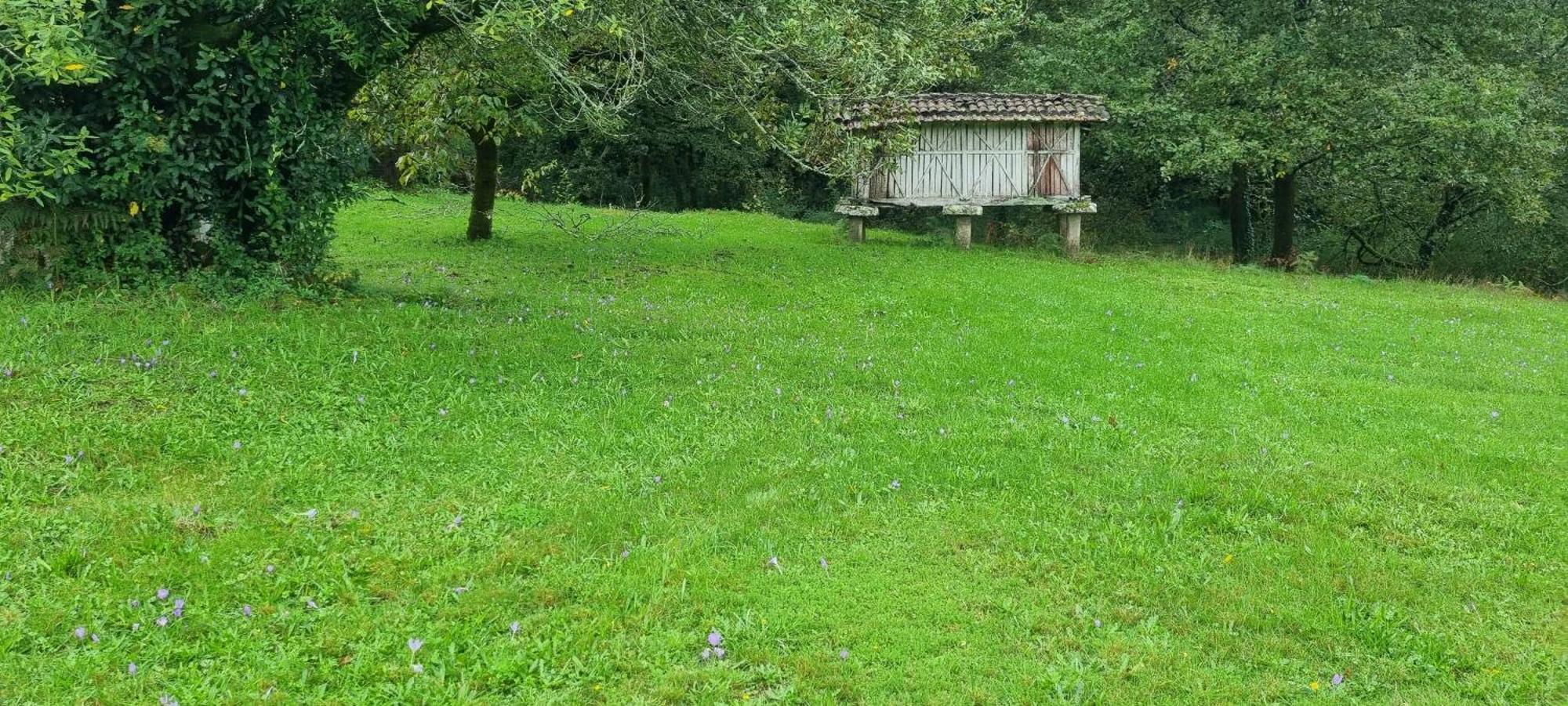 De 300 Anos Con Silencio Y Tranquilidad *